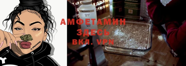 дживик Абаза