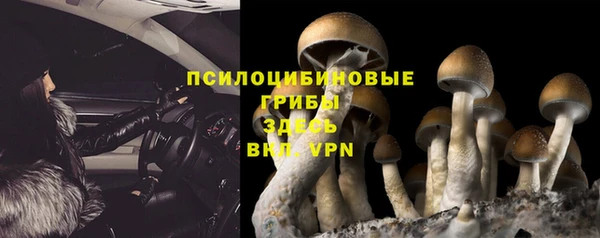 бошки Абинск