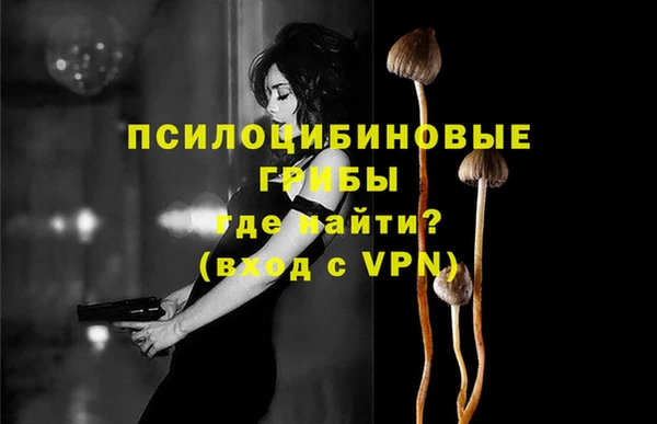 прущие крисы Алзамай