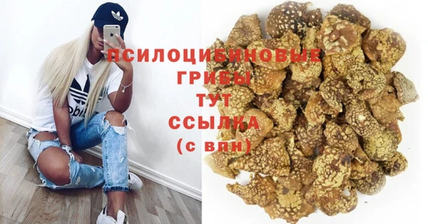 ПСИЛОЦИБИНОВЫЕ ГРИБЫ Алексин