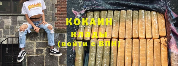дживик Абаза