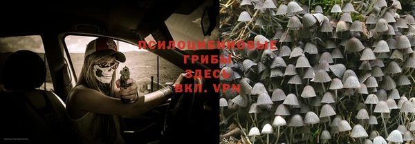 дживик Абаза