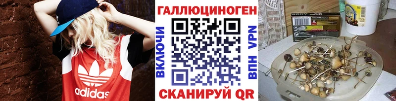Галлюциногенные грибы ЛСД Заводоуковск